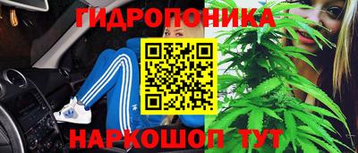 молекула духа Кулебаки